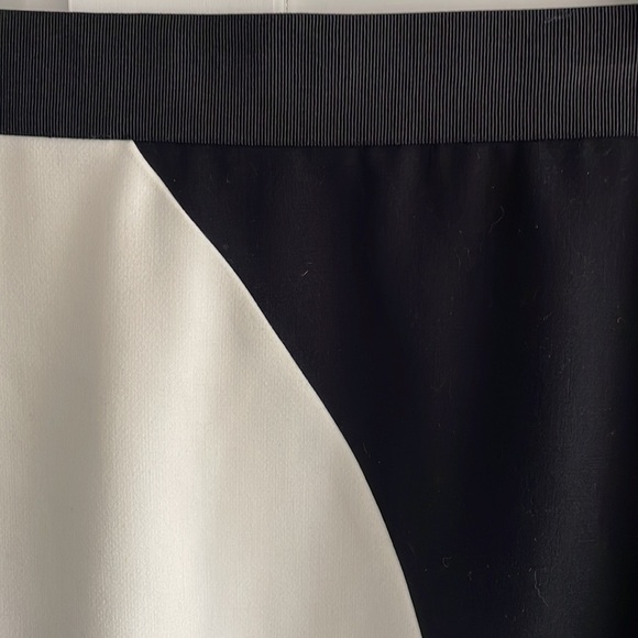 Milly Helix Mesh Skirt - Picture 7 of 15